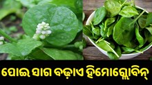 ହିମୋଗ୍ଲୋବିନ୍ ବଢ଼ାଏ ପୋଇ ସାଗ !