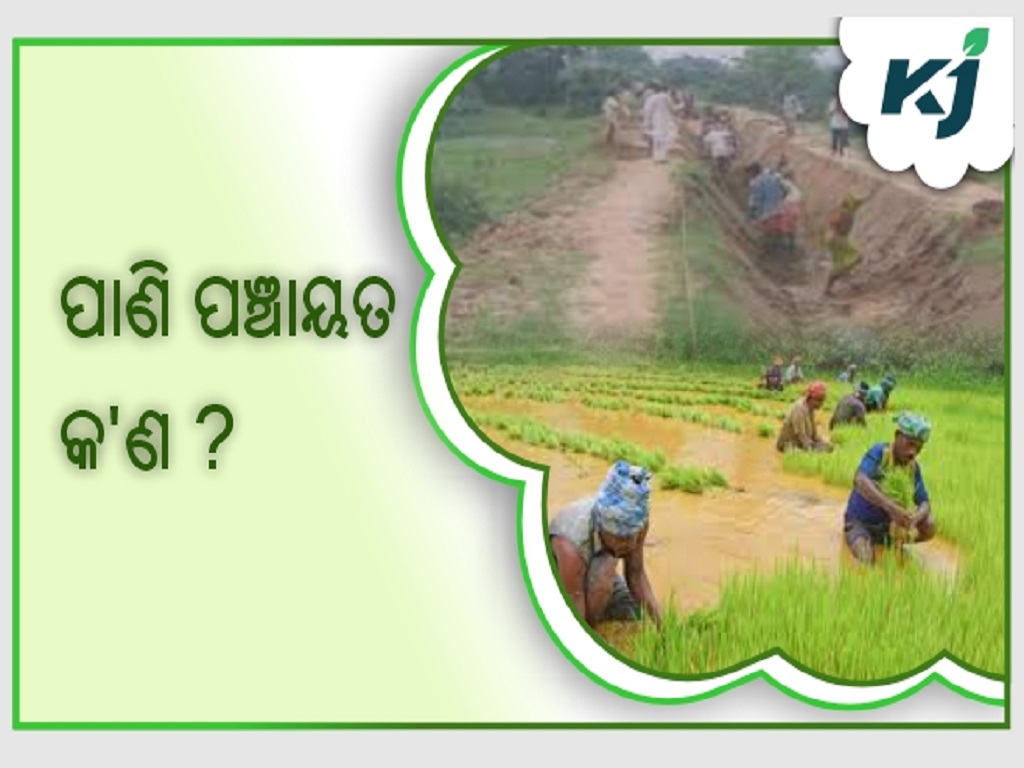 Pani panchayat scheme of odisha govt …..