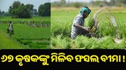 ସରକାରଙ୍କ ବଡ଼ ଘୋଷଣା, ୭୬ ଲକ୍ଷ ଛୋଟ କୃଷକଙ୍କୁ ମିଳିବ ଫସଲ ବୀମା !