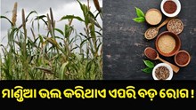 ଏହି ସବୁ ରୋଗ ଭଲ କରିଥାଏ ମାଣ୍ଡିଆ.....
