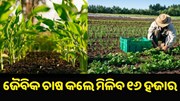 ଜୈବିକ ଚାଷକୁ ପ୍ରୋତ୍ସାହନ: ସରକାର ଦେବେ ୧୬,୦୦୦ ଟଙ୍କାର ଆର୍ଥିକ ସହାୟତା ଜୈବିକ ଚାଷକୁ ପ୍ରୋତ୍ସାହନ: ସରକାର ଦେବେ ୧୬,୦୦୦ ଟଙ୍କାର ଆର୍ଥିକ ସହାୟତା