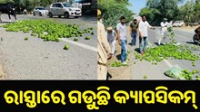 ରାସ୍ତାରେ ଫୋପଡ଼ା ହେଉଛି କ୍ୟାପସିକମ୍..