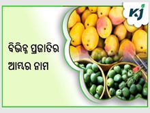 ଜାଣନ୍ତୁ ଭାରତର ପ୍ରସିଦ୍ଧ ଆମ୍ବର ନାମ  ଜାଣନ୍ତୁ ଭାରତର ପ୍ରସିଦ୍ଧ ଆମ୍ବର ନାମ