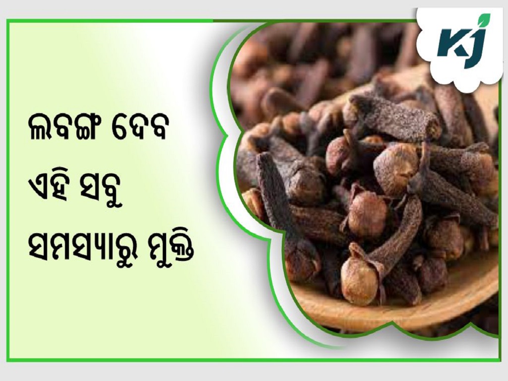 Importance and benefits of clove
