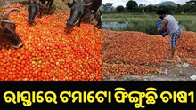 କାହଁକି ରାସ୍ତାରେ ଟମାଟୋ ଫିଙ୍ଗୁଛି ଚାଷୀ ? କାହଁକି ରାସ୍ତାରେ ଟମାଟୋ ଫିଙ୍ଗୁଛି ଚାଷୀ ?