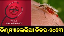 ଆଜି ବିଶ୍ୱ ମ୍ୟାଲେରିଆ ଦିବସ : ନୂଆ ଥିମ୍ ଜାରି କଲା ବିଶ୍ୱ ସ୍ୱାସ୍ଥ୍ୟ ସଂଗଠନ