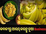 New Business Idea: କଦଳୀରୁ ଆରମ୍ଭ କରନ୍ତୁ ନୂଆ ବ୍ୟବସାୟ New Business Idea: କଦଳୀରୁ ଆରମ୍ଭ କରନ୍ତୁ ନୂଆ ବ୍ୟବସାୟ