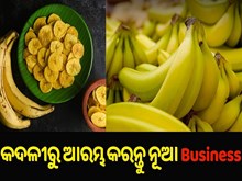 New Business Idea: କଦଳୀରୁ ଆରମ୍ଭ କରନ୍ତୁ ନୂଆ ବ୍ୟବସାୟ New Business Idea: କଦଳୀରୁ ଆରମ୍ଭ କରନ୍ତୁ ନୂଆ ବ୍ୟବସାୟ