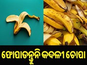 ଫୋପାଡନ୍ତୁନି  କଦଳୀ ଚୋପା,ମିଳିବ ଏହି ସବୁ ଲାଭ 