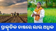 ପ୍ରାକୃତିକ ଚାଷରେ ଖର୍ଚ୍ଚ କମ,ଲାଭ ଅଧିକ  ପ୍ରାକୃତିକ ଚାଷରେ ଖର୍ଚ୍ଚ କମ,ଲାଭ ଅଧିକ