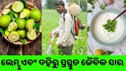 ଲେମ୍ବୁ ଏବଂ ଦହିରୁ ପ୍ରସ୍ତୁତ କୀଟନାଶକ ,ଏବେ ଫଳିବ ଭଲ ଫସଲ  ଲେମ୍ବୁ ଏବଂ ଦହିରୁ ପ୍ରସ୍ତୁତ କୀଟନାଶକ ,ଏବେ ଫଳିବ ଭଲ ଫସଲ