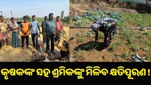 ଚାଷରେ କ୍ଷତି ହେଲେ କୃଷକଙ୍କ ସହ ଶ୍ରମିକଙ୍କୁ ମିଳିବ କ୍ଷତିପୂରଣ !