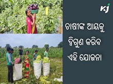 ୩ ବର୍ଷରେ ଚାଷୀଙ୍କ ଆୟ ଦ୍ୱିଗୁଣ କରିବ ସରକାରଙ୍କ ସ୍ବତନ୍ତ୍ର ଯୋଜନା
