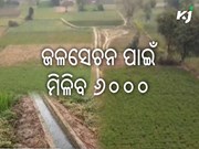 ଜଳସେଚନ ପାଇଁ କୃଷକଙ୍କୁ ମିଳିବ ୬୦୦୦ ଟଙ୍କା ଅନୁଦାନ
