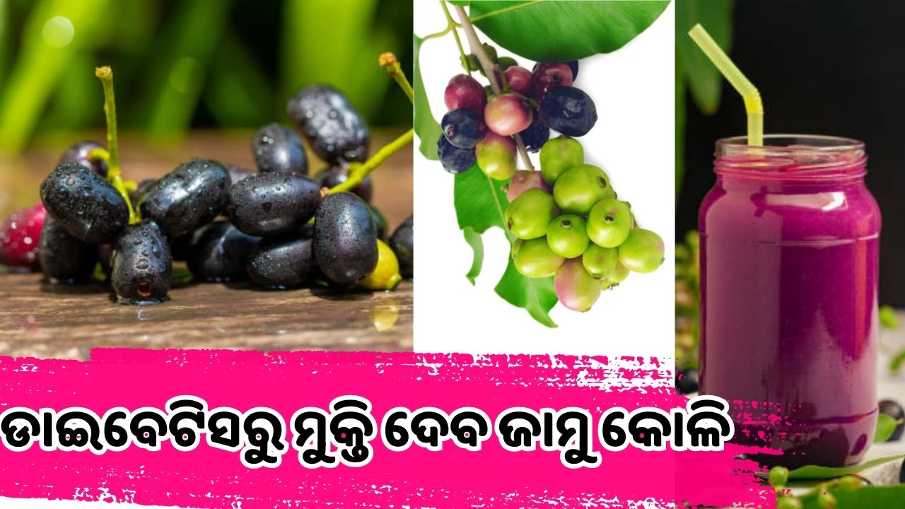 Discovering Jamun Seeds' Hidden Power: 5 Surprising Benefits You Must Know! pic credit @istockphoto.com