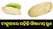 ଟାକୁଆରେ ରହିଛି ଅନେକ ଔଷଧୀୟ ଗୁଣ, ଖାଇଲେ ଭଲ ହୋଇଯିବ ଏହି ସବୁ ରୋଗ...