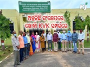 ନମସ୍କାର ଖୋର୍ଦ୍ଧା, ଆସନ୍ତୁ ଜାଣିବା ଆପଣଙ୍କ ଜିଲ୍ଲାର କୃଷି ବିଜ୍ଞାନ କେନ୍ଦ୍ରର କ'ଣ ରହିଛି ବିଶେଷତ୍ୱ  ? ନମସ୍କାର ଖୋର୍ଦ୍ଧା, ଆସନ୍ତୁ ଜାଣିବା ଆପଣଙ୍କ ଜିଲ୍ଲାର କୃଷି ବିଜ୍ଞାନ କେନ୍ଦ୍ରର କ'ଣ ରହିଛି ବିଶେଷତ୍ୱ  ?