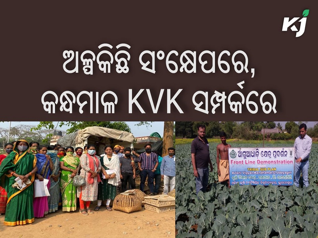 Importance of kandhamala kvk , image source - kvk kandhamal