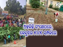 ନମସ୍କାର କେନ୍ଦୁଝର, ଆସନ୍ତୁ ଜାଣିବା ଆପଣଙ୍କ ଜିଲ୍ଲାର କୃଷି ବିଜ୍ଞାନ କେନ୍ଦ୍ରର କ'ଣ ରହିଛି ବିଶେଷତ୍ୱ ?