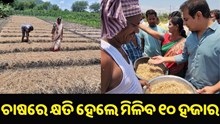 ଚାଷରେ କ୍ଷତି ହେଲେ ‘ଏକର’ ହିସାବରେ ମିଳିବ ୧୦,୦୦୦ କ୍ଷତି ପୂରଣ... ଚାଷରେ କ୍ଷତି ହେଲେ ‘ଏକର’ ହିସାବରେ ମିଳିବ ୧୦,୦୦୦ କ୍ଷତି ପୂରଣ...