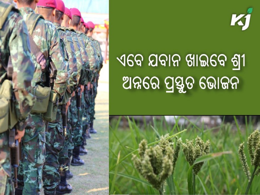 introduce Millets in the meals of personnel of CAPFs and NDRF , image credit - pixel.com