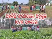 ନମସ୍କାର ଅନୁଗୁଳ, ଆସନ୍ତୁ ଜାଣିବା ଆପଣଙ୍କ ଜିଲ୍ଲାର କୃଷି ବିଜ୍ଞାନ କେନ୍ଦ୍ରର କ'ଣ ରହିଛି ବିଶେଷତ୍ୱ ? ନମସ୍କାର ଅନୁଗୁଳ, ଆସନ୍ତୁ ଜାଣିବା ଆପଣଙ୍କ ଜିଲ୍ଲାର କୃଷି ବିଜ୍ଞାନ କେନ୍ଦ୍ରର କ'ଣ ରହିଛି ବିଶେଷତ୍ୱ ?