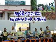 ନମସ୍କାର ଢେଙ୍କାନାଳ, ଆସନ୍ତୁ ଜାଣିବା ଆପଣଙ୍କ ଜିଲ୍ଲାର କୃଷି ବିଜ୍ଞାନ କେନ୍ଦ୍ରର ବିଶେଷତ୍ୱ ନମସ୍କାର ଢେଙ୍କାନାଳ, ଆସନ୍ତୁ ଜାଣିବା ଆପଣଙ୍କ ଜିଲ୍ଲାର କୃଷି ବିଜ୍ଞାନ କେନ୍ଦ୍ରର ବିଶେଷତ୍ୱ