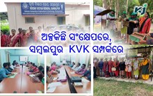 ନମସ୍କାର ସମ୍ବଲପୁର, ଆସନ୍ତୁ ଜାଣିବା ଆପଣଙ୍କ ଜିଲ୍ଲାର କୃଷି ବିଜ୍ଞାନ କେନ୍ଦ୍ରର ବିଶେଷତ୍ୱ