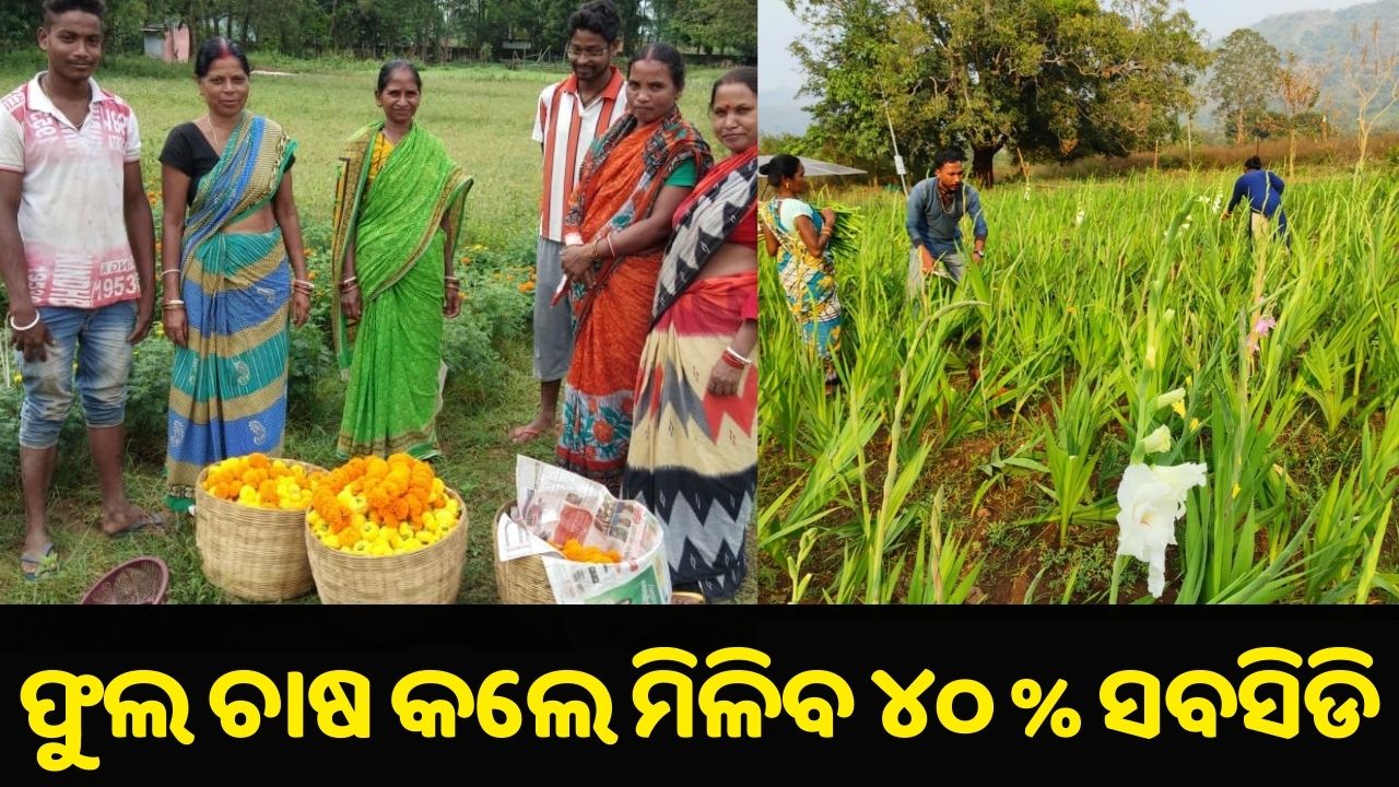 40% Subsidy on flower farming...pic credit: @Horticultureod1