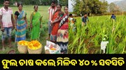 ଫୁଲ ଚାଷ କଲେ ୪୦% ସବସିଡି ଦେବେ ସରକାର....