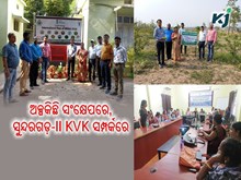 ନମସ୍କାର ସୁନ୍ଦରଗଡ଼-ll, ଆସନ୍ତୁ ଜାଣିବା ଆପଣଙ୍କ ଜିଲ୍ଲାର କୃଷି ବିଜ୍ଞାନ କେନ୍ଦ୍ରର ବିଶେଷତ୍ୱ