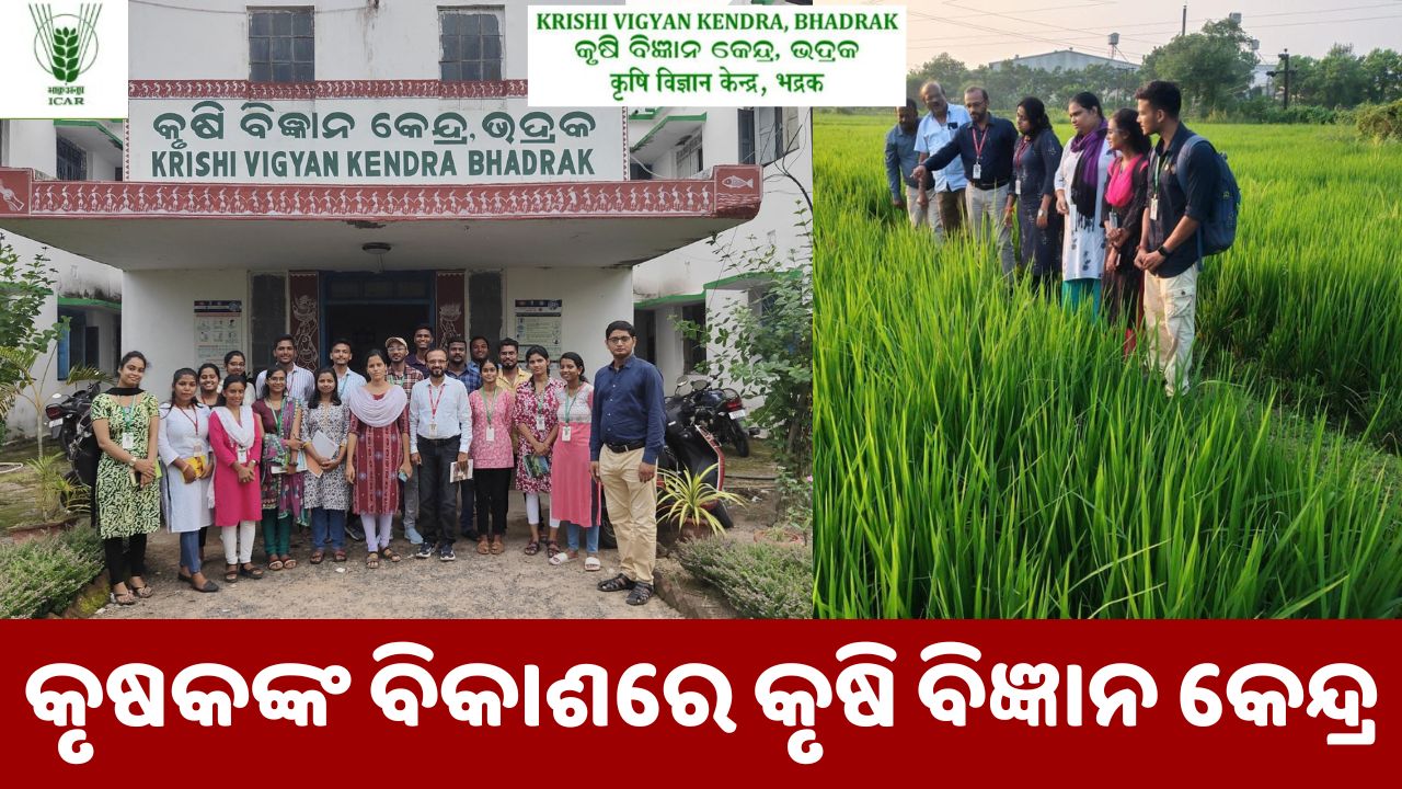 kvk Bhadrak is taking the best precautions to adapt technology to all segments of the districts farming population