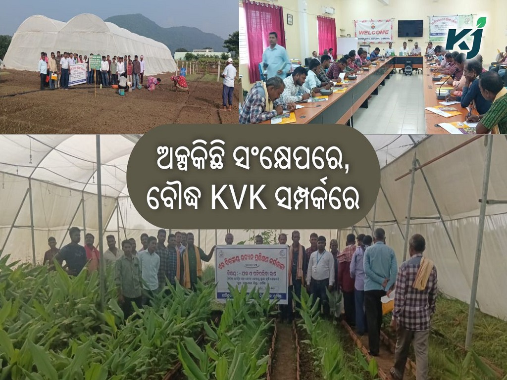 To know about kvk of boudh dist  , image source - kvk boudh