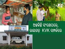 ନମସ୍କାର ରାୟଗଡ଼, ସଂକ୍ଷେପରେ ଜାଣନ୍ତୁ ଜିଲ୍ଲାର କୃଷି ବିଜ୍ଞାନ କେନ୍ଦ୍ର ସମ୍ପର୍କରେ