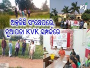 ନମସ୍କାର ନୂଆପଡା, ଆସନ୍ତୁ ଜାଣିବା ଆପଣଙ୍କ ଜିଲ୍ଲାର କୃଷି ବିଜ୍ଞାନ କେନ୍ଦ୍ର ସମ୍ପର୍କରେ ନମସ୍କାର ନୂଆପଡା, ଆସନ୍ତୁ ଜାଣିବା ଆପଣଙ୍କ ଜିଲ୍ଲାର କୃଷି ବିଜ୍ଞାନ କେନ୍ଦ୍ର ସମ୍ପର୍କରେ