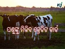 ଏବେ ପଶୁଙ୍କୁ ମିଳିବ ବିନା ସୁଧରେ ଲୋନ ସହିତ କ୍ରେଡିଟ କାର୍ଡ