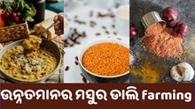 ଏହି ଡାଲିଚାଷରୁ ଅଳ୍ପ ଖର୍ଚ୍ଚରେ, ଅଧିକ ଆୟ  ଏହି ଡାଲିଚାଷରୁ ଅଳ୍ପ ଖର୍ଚ୍ଚରେ, ଅଧିକ ଆୟ
