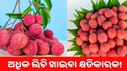 ପ୍ରତିଦିନ ଖାଉଛନ୍ତି କି ଲିଚି ,ଜାଣନ୍ତୁ ଲିଚି ଖାଇବାର କିଛି ଆକର୍ଷଣୀୟ ସୁବିଧା ଏବଂ ଅସୁବିଧା