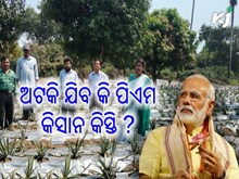 ଅଟକି ପାରେ କୃଷକମାନଙ୍କର ୧୪ତମ କିସ୍ତି 