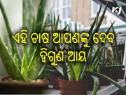 ୫୦ ହଜାର ରୁ ଆରମ୍ଭ କରି ମାସକୁ କମାନ୍ତୁ ଲକ୍ଷ ଲକ୍ଷ ଟଙ୍କା ୫୦ ହଜାର ରୁ ଆରମ୍ଭ କରି ମାସକୁ କମାନ୍ତୁ ଲକ୍ଷ ଲକ୍ଷ ଟଙ୍କା