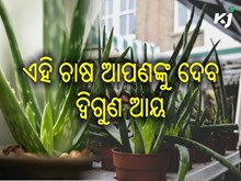 ୫୦ ହଜାର ରୁ ଆରମ୍ଭ କରି ମାସକୁ କମାନ୍ତୁ ଲକ୍ଷ ଲକ୍ଷ ଟଙ୍କା ୫୦ ହଜାର ରୁ ଆରମ୍ଭ କରି ମାସକୁ କମାନ୍ତୁ ଲକ୍ଷ ଲକ୍ଷ ଟଙ୍କା