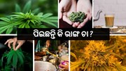 କେବେ ପିଇଛନ୍ତି କି ଭାଙ୍ଗ ଚା ? 