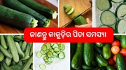 କାକୁଡି ଚାଷକୁ ପିତା ହେବାରୁ କରନ୍ତୁ ରକ୍ଷା  କାକୁଡି ଚାଷକୁ ପିତା ହେବାରୁ କରନ୍ତୁ ରକ୍ଷା