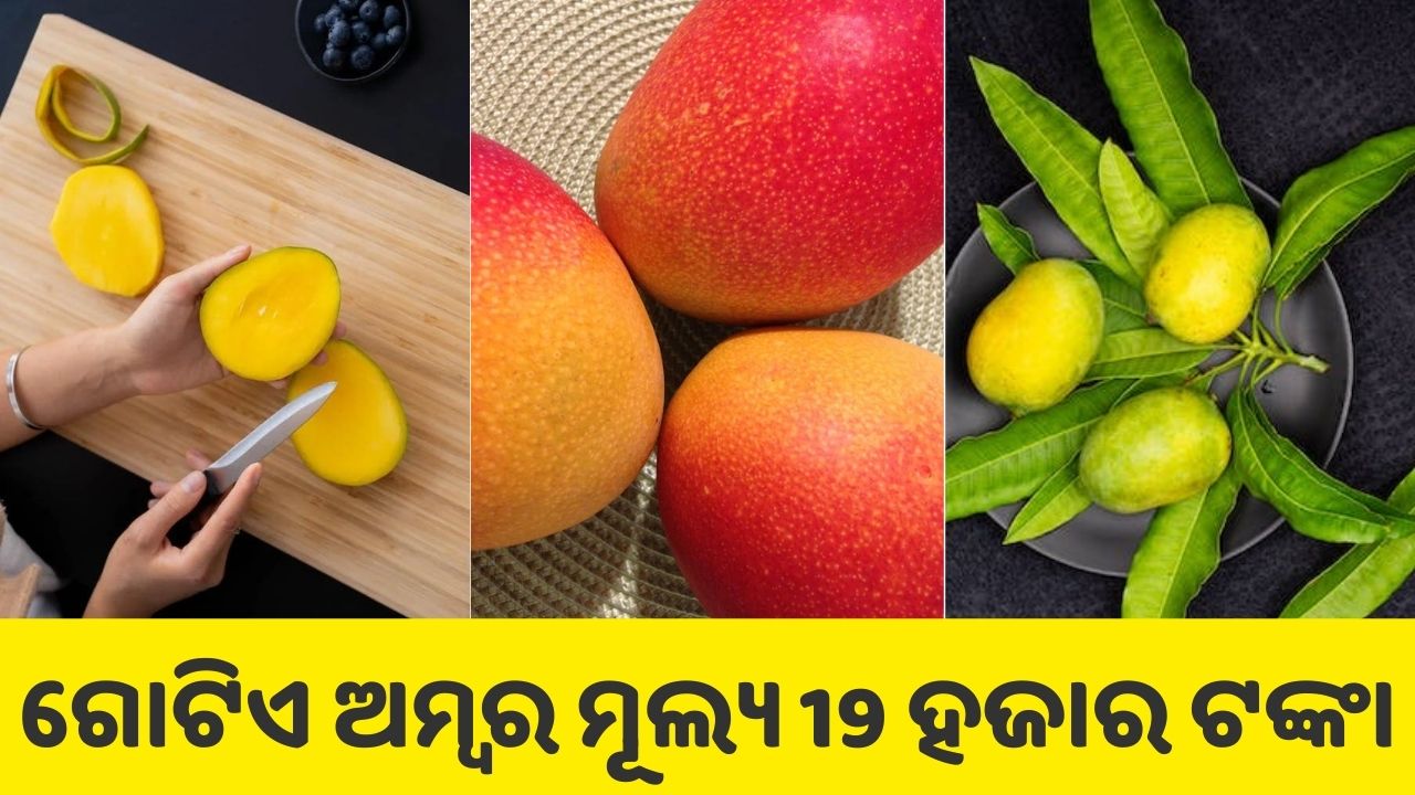 The cost of this unique Japanese mango is 19,000 rupees. What makes it special? pic credit@pexels.com