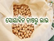 କିପରି କରିବେ ସୋୟାବିନ ଚାଷ ? କିପରି କରିବେ ସୋୟାବିନ ଚାଷ ?