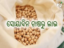 କିପରି କରିବେ ସୋୟାବିନ ଚାଷ ? କିପରି କରିବେ ସୋୟାବିନ ଚାଷ ?