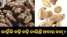 କାହିଁକି ବଢ଼ି ବଢ଼ି ଚାଲିଛି ଅଦାର ଦାମ୍ ? କାହିଁକି ବଢ଼ି ବଢ଼ି ଚାଲିଛି ଅଦାର ଦାମ୍ ?