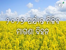 ଏବେ ୨୦୨୭ ପର୍ଯ୍ୟନ୍ତ ମାଗଣା ମିଳିବ ଡାଲି ଜାତୀୟ ଓ ତୈଳ ବୀଜ ଜାତୀୟ ବିହନ