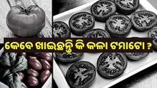 କେବେ ଖାଇଛନ୍ତି କି କଳା ଟମାଟୋ, ଜାଣନ୍ତୁ ଏହାର ବିଶେଷତା  କେବେ ଖାଇଛନ୍ତି କି କଳା ଟମାଟୋ, ଜାଣନ୍ତୁ ଏହାର ବିଶେଷତା