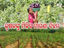 ୨୦ ଲକ୍ଷ କୃଷକଙ୍କୁ ମିଳିବ ମାଗଣା ପରିବା ବିହନ